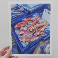 Image 3 of Red Mullet,  limited edition giclée print 
