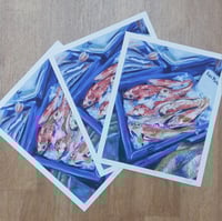 Image 2 of Red Mullet,  limited edition giclée print 