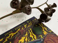 Image 5 of STRIDER "MIDNIGHT ZEN"