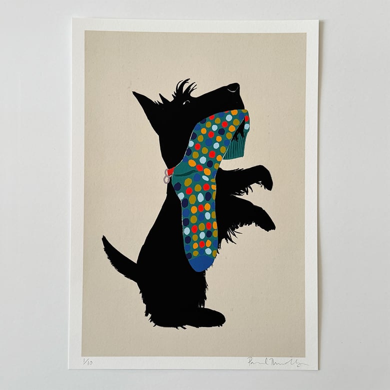 Image of Scottie with Sock