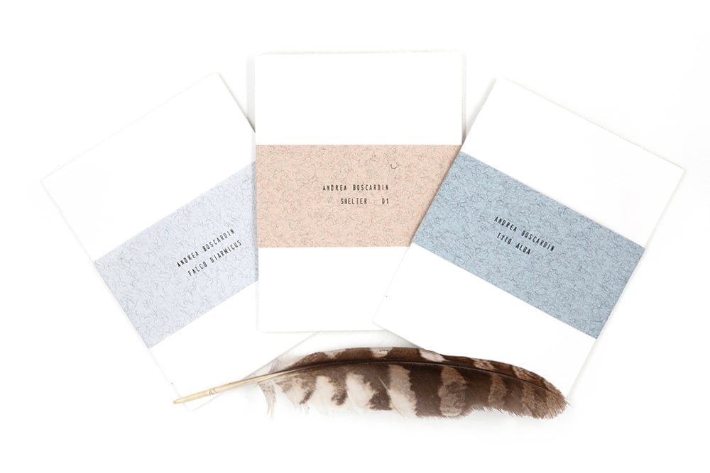 Image of Series "X" 2025 Editions | Box Set