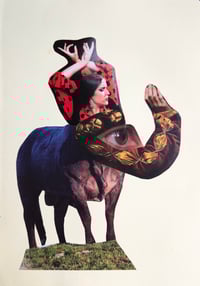 Elefante Flamenco