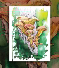 Champignons à l'encre