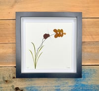 Seaglass mouse, seaglass ear of wheat