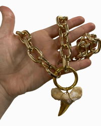 Mackerel Shark Tooth Hardware chain