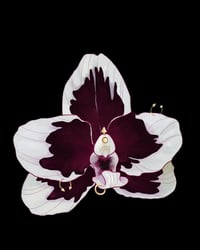 Orchid Sticker