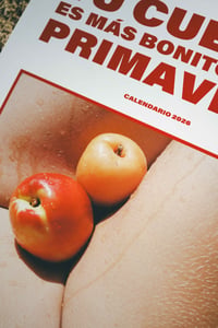 Image 14 of Calendario 2026