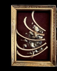 Image 2 of Small framed bones SOLD