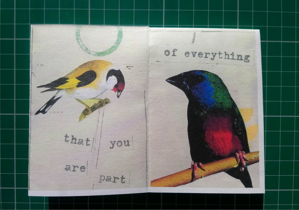 Image of The birds will sing