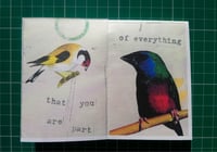 Image 3 of The birds will sing