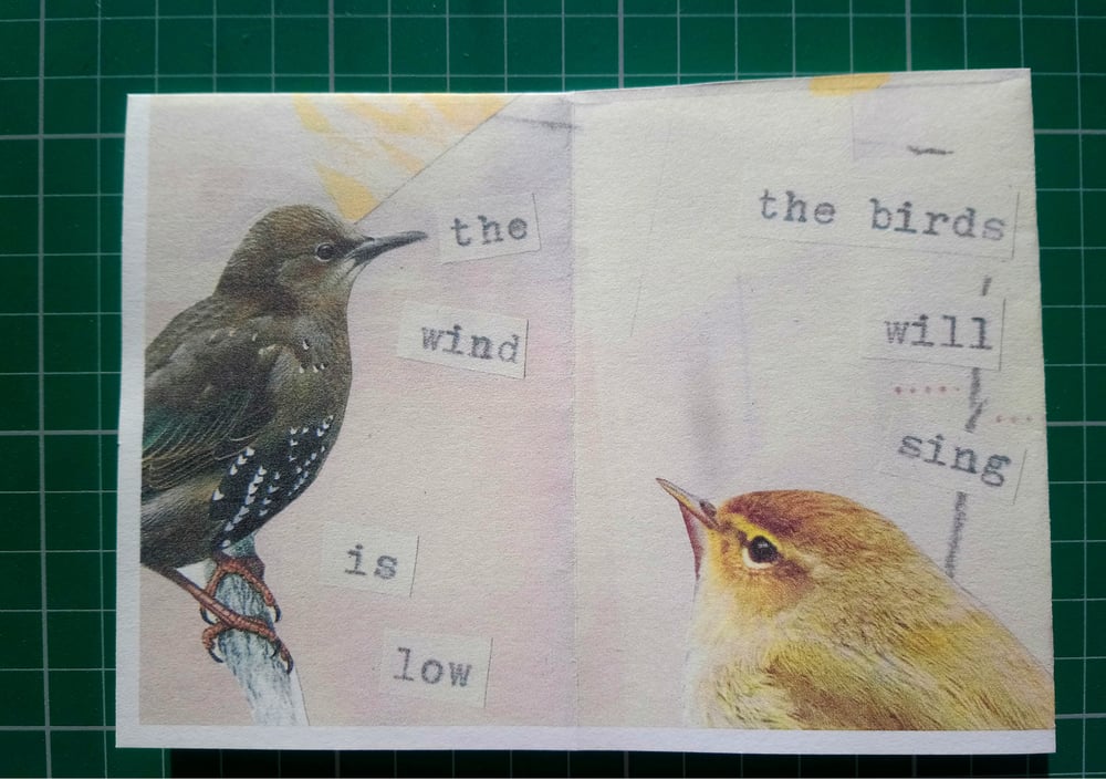 Image of The birds will sing