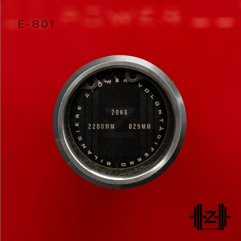 Set Dischi Calibrati + Bilanciere