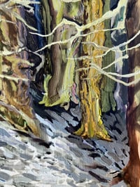 Image 2 of Trees in Winter Light