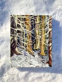 Image 1 of Trees in Winter Light