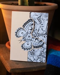 Image 2 of Greeting Cards - Butterfly Set
