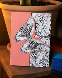 Image 4 of Greeting Cards - Butterfly Set