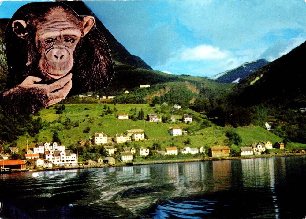 Image of Here, with you