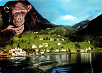 Image 1 of Here, with you