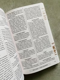 Image 8 of Collapsed Mythologies A Geofinancial Atlas by Eline Benjaminsen/Dayna Casey