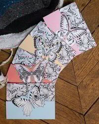 Image 5 of Greeting Cards - Butterfly Set