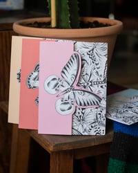 Image 1 of Greeting Cards - Butterfly Set