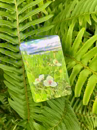 Image 1 of GYF GIFT CARDS