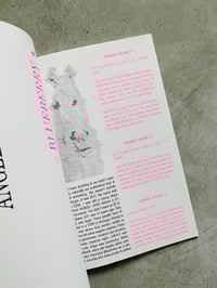 Image 2 of A SERIES OF ATTEMPTS #3: ☆LOVING WOMEN★☆LE PONEY★ by Jordan/_ Hell