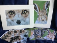 Image 1 of Wildlife portrait bundle