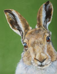 Image 5 of Wildlife portrait bundle