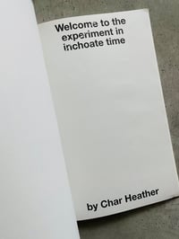 Image 4 of Get Rid of Meaning: A Journal of Interdisciplinary Writing #3