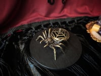 Image 1 of Arachnid Burner