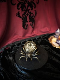 Image 5 of Arachnid Burner