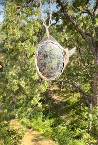 Serpentine Hummingbird pendant necklace 