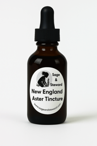 New England Aster Tincture