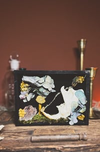 Image 1 of beaver jaw shadowbox