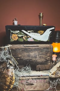 Image 2 of goat jaw & mushroom forest shadowbox