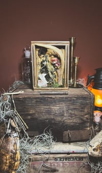 Image 2 of antler & hedgehog jaw shadowbox