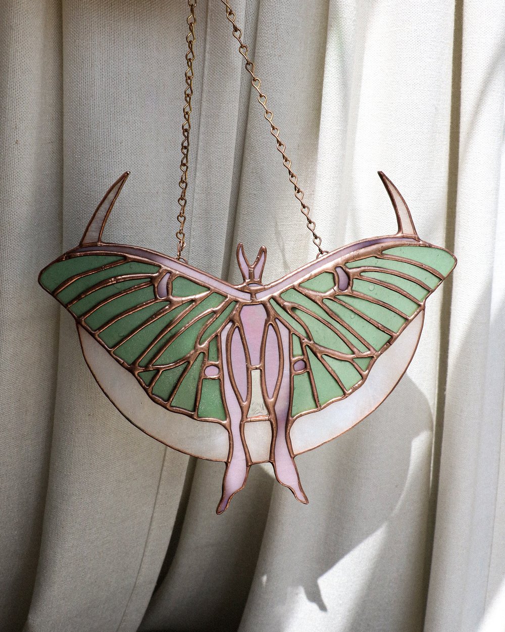 Image of Crescent moth