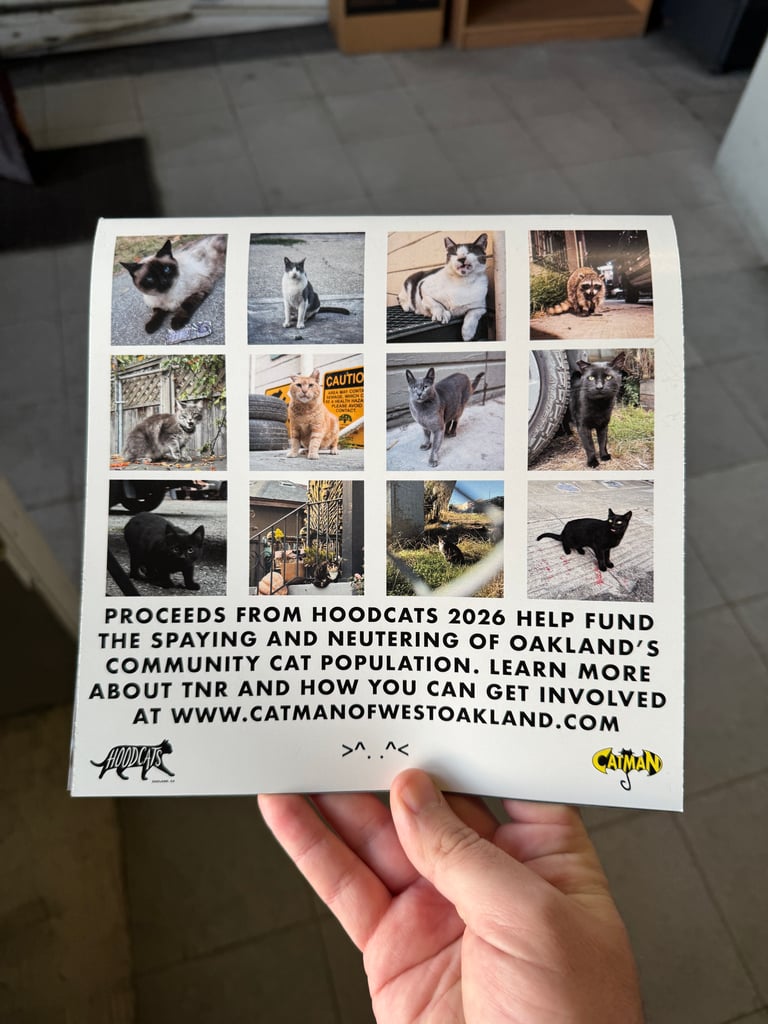 Hoodcats 2026 Wall Hanging Calendar - Pre Order Image 2