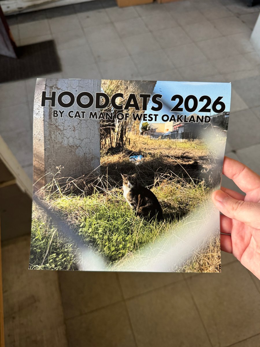 Hoodcats 2026 Wall Hanging Calendar | Cat Man HQ