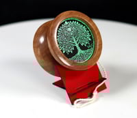 Image 1 of Australian Eucalyptus yo-yo, #2025-278