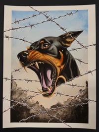 COLOR BLIND - ZAK ELLIOT