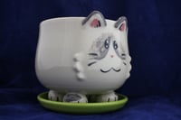 Image 1 of Sweetsy Lilac Ragdoll Silly Kitty Planter
