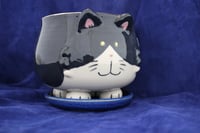 Image 1 of Tuxedo Silly Kitty Planter