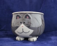 Image 1 of Grey-Brown Tabby Silly Kitty Mug-Bowl