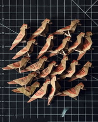 Image 4 of ORIGAMI SPARROW CARD (Fundraiser for Wild Bird Fund + Pathways Program)