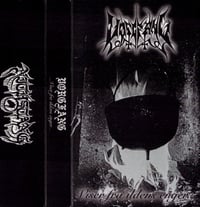 Vorgfang ‎– Viser Fra Ildens Enger... CS