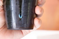 Image 2 of TRAVLA [no. 94]