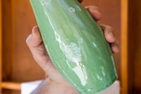 Image 3 of OLI [no. 6]