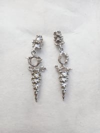 LACERTI OCELLATI_Crocodile Jaws